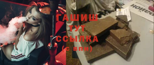 хмурый Алексин