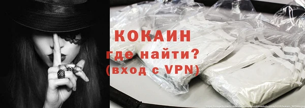 хмурый Алексин