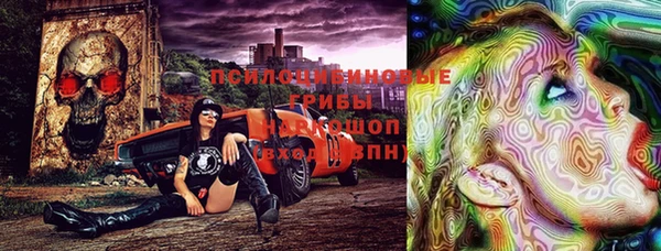 хмурый Алексин