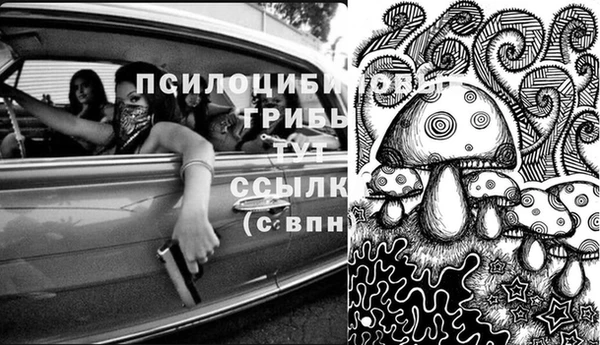 хмурый Алексин