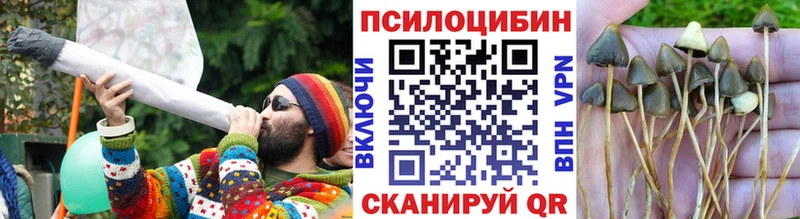 Галлюциногенные грибы Cubensis закладка Дубна